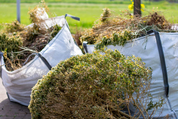 Best Estate Cleanout  in Moorpark, CA